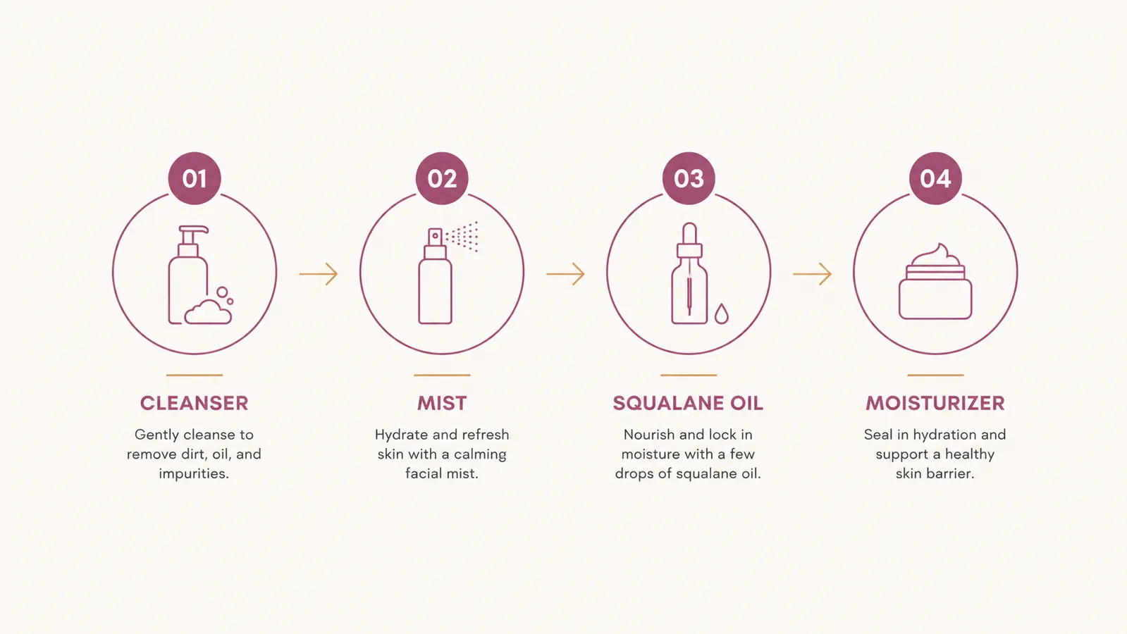 Simple diagram showing the correct skincare layering order from cleanser to squalane oil to moisturizer